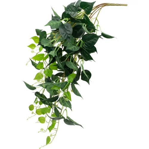 christmascentral3006823