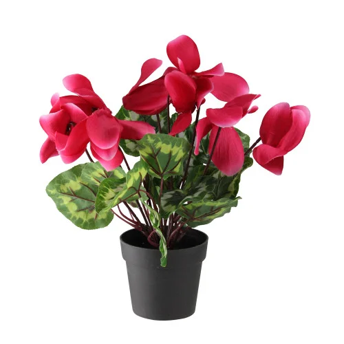 christmascentral3508961