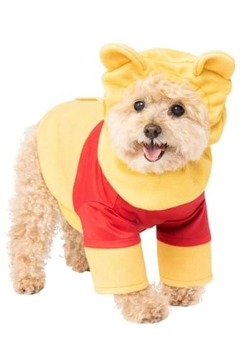 halloweencostumes4054961